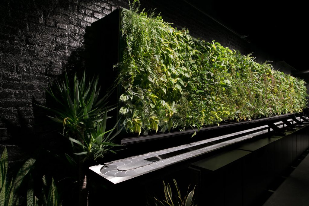 Living plant wall at Nap York in New York, NY | well-designed spaces