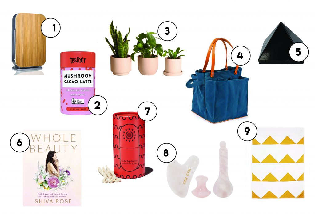 holistic and wellness gift guide